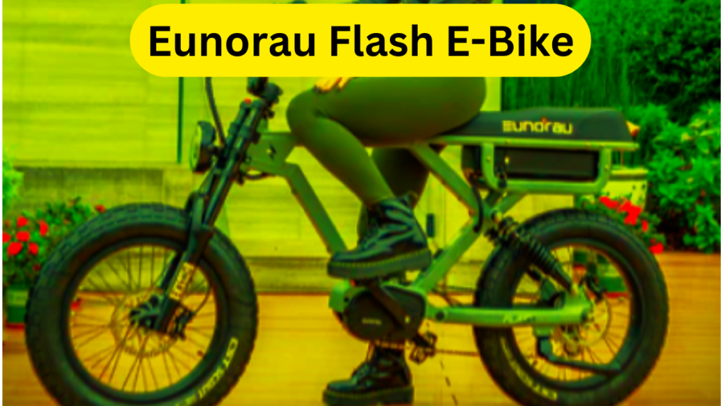 Eunorau Flash E Bike 1